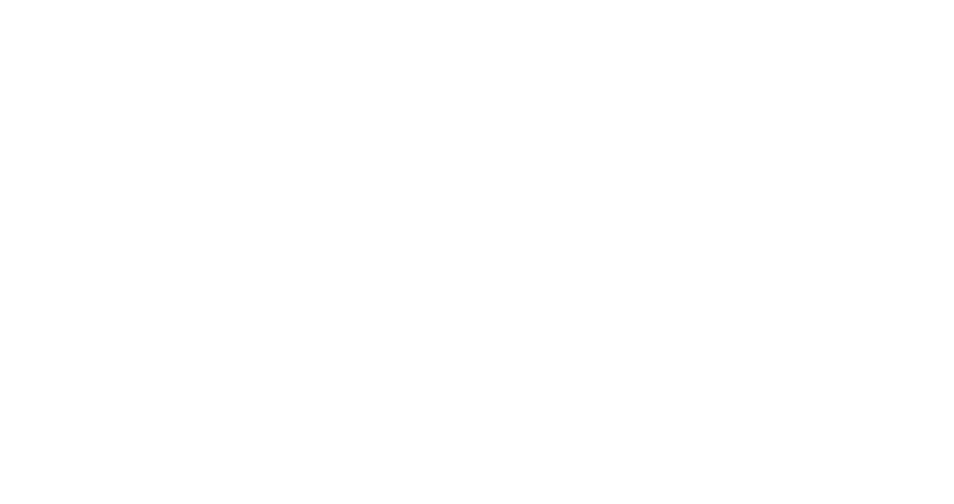 maestro